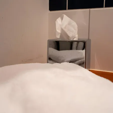 Klostermeisterhaus Πανσιόν St. Blasien