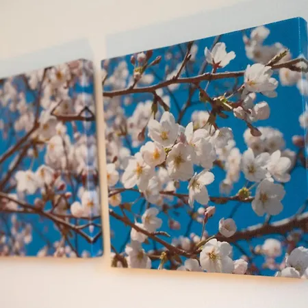 Πανσιόν Klostermeisterhaus 3*