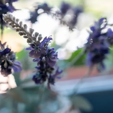 Klostermeisterhaus Πανσιόν